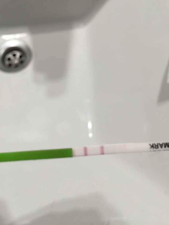 Test ovulacion - 1
