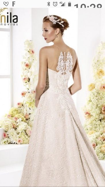 Dudas con el vestido a 94 dias - 1