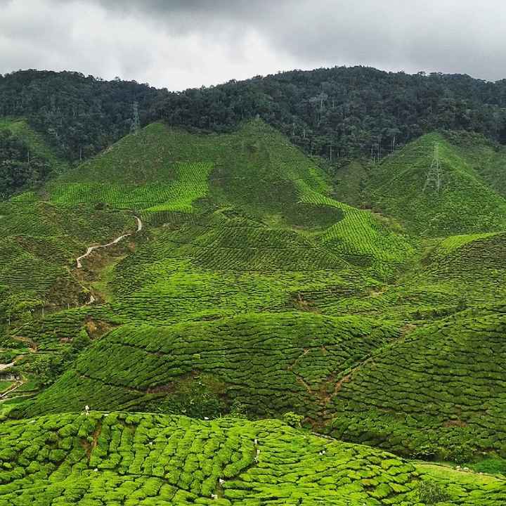 Malasia - 2