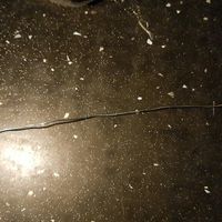 Mi ramo diy - 10