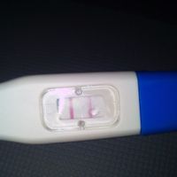 Test embarazo