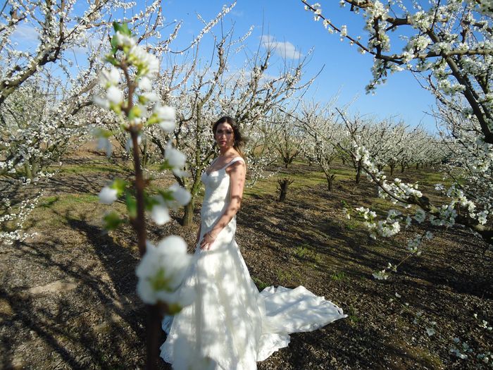 postboda primavera