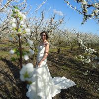 postboda primavera