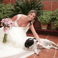 con mi perra