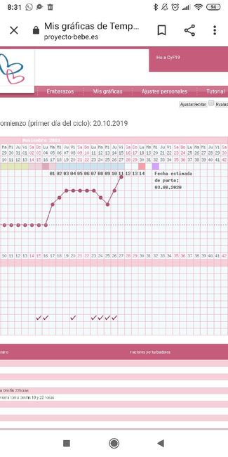 Buscadoras Noviembre 2019 3