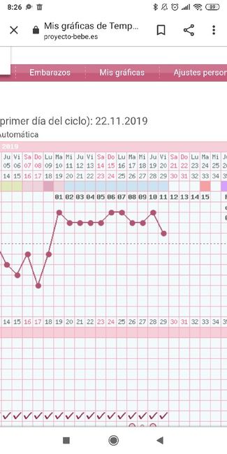 Buscadoras Diciembre 2019 1