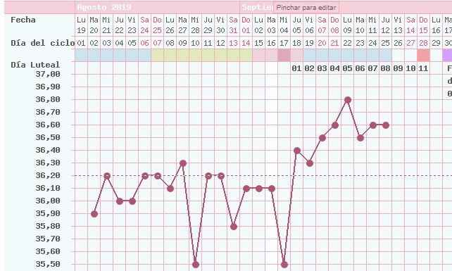 grafico 