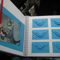 gatito