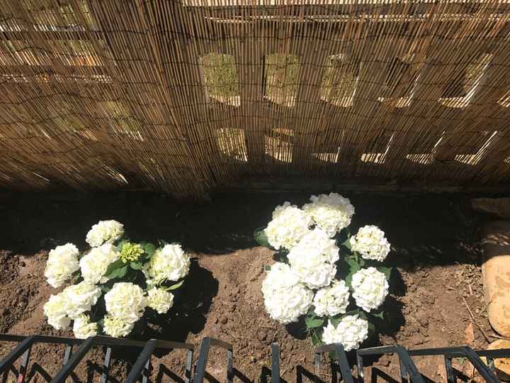 Ramos de hortensias....con cual te quedas? - 1