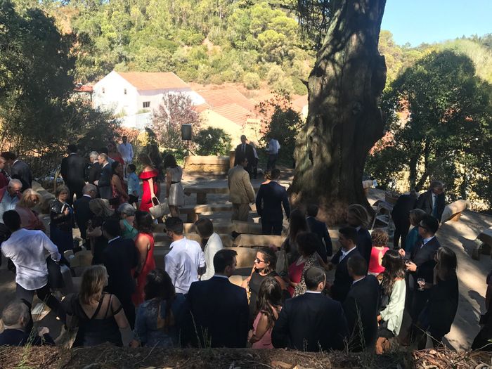  He tenido una boda!!! - 5