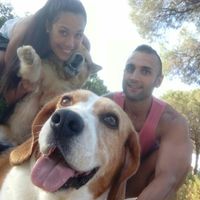 No sin perros!!! - 1