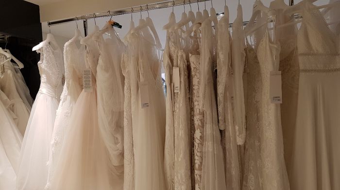 ¿Alguien en la venta de muestras de Rosa Clará? 1