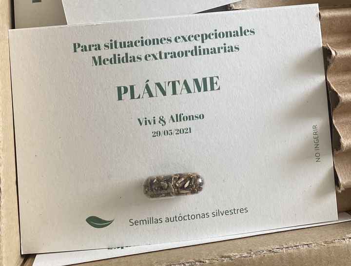 Invitaciones plantables - 1