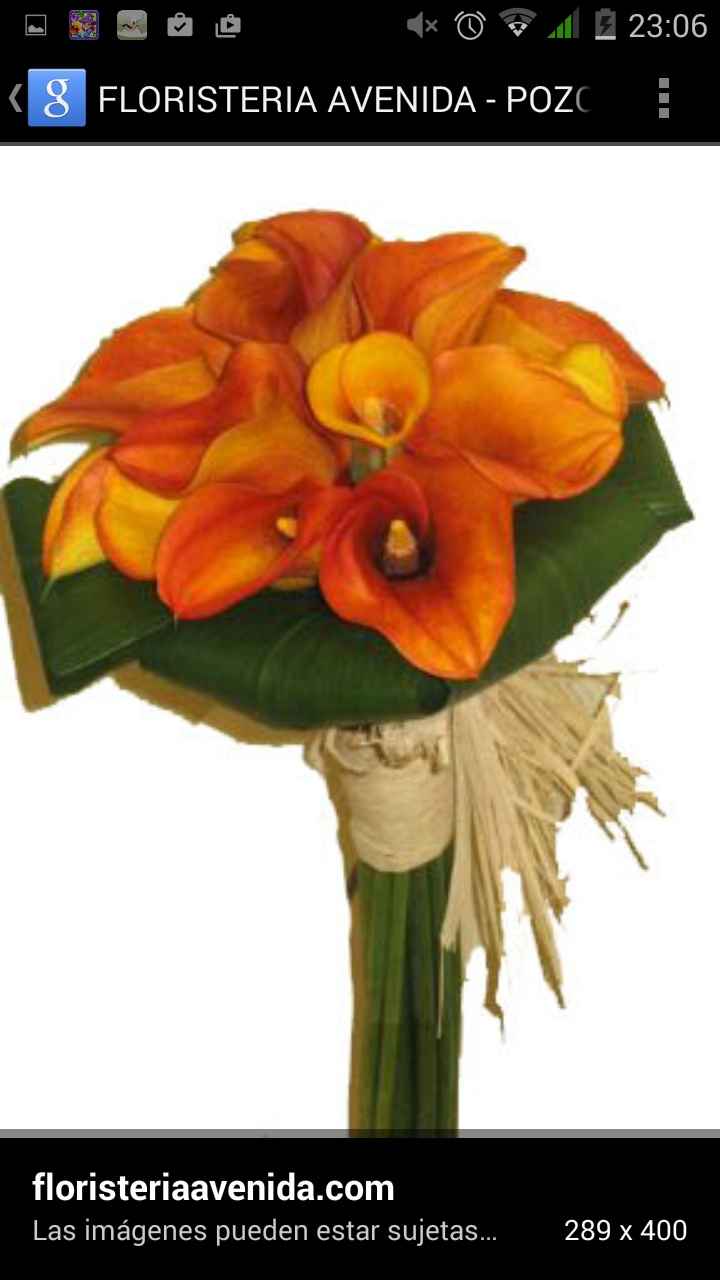 Ramos de novia - 1
