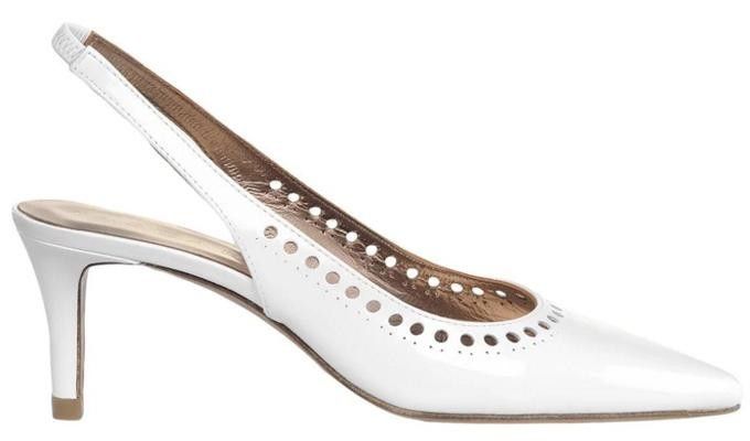 zapato 6