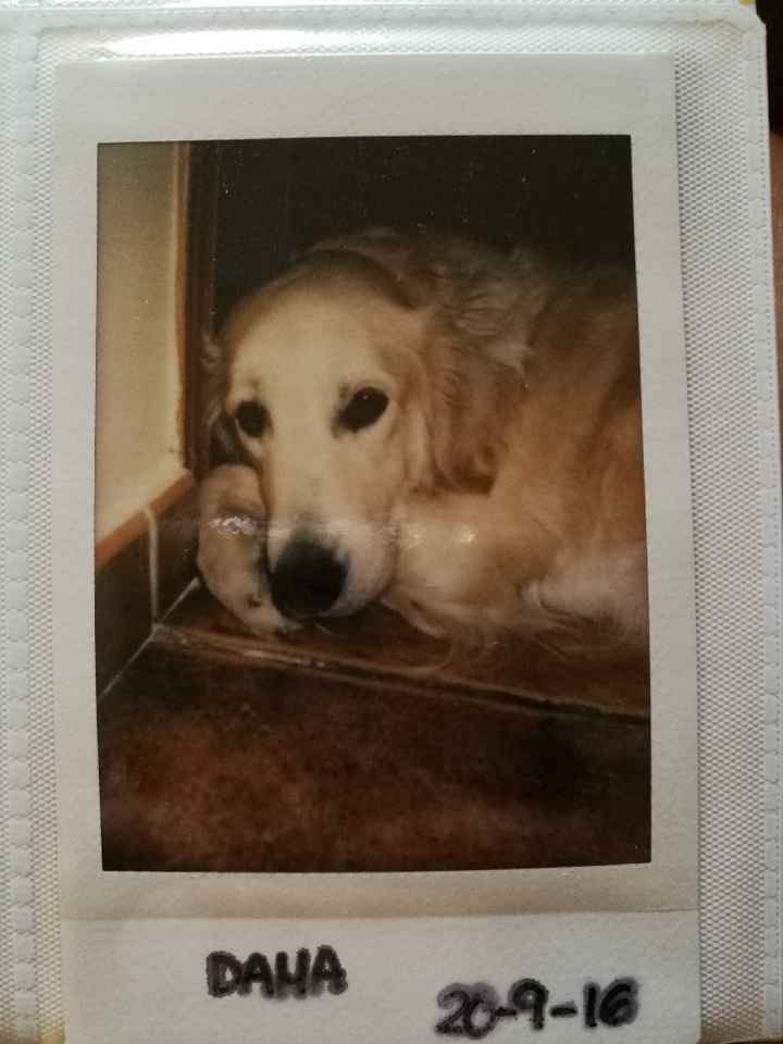 Cámara fujifilm instax - 1