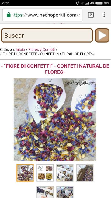 Pétalos de flores secas - 1