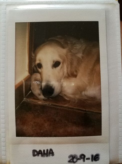 Cámara fujifilm instax - 1