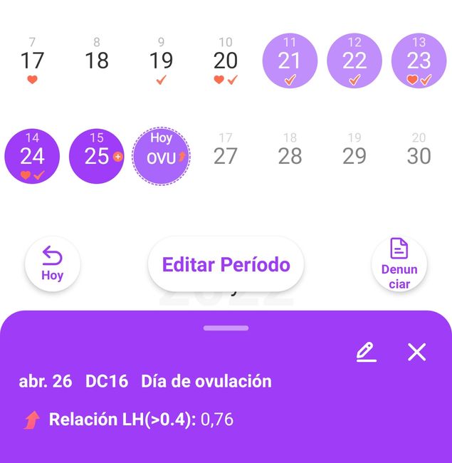 Buscadoras Abril 4