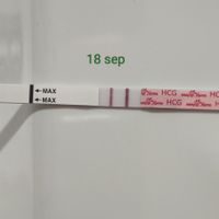 Futuras mamás Mayo 2024 - 1