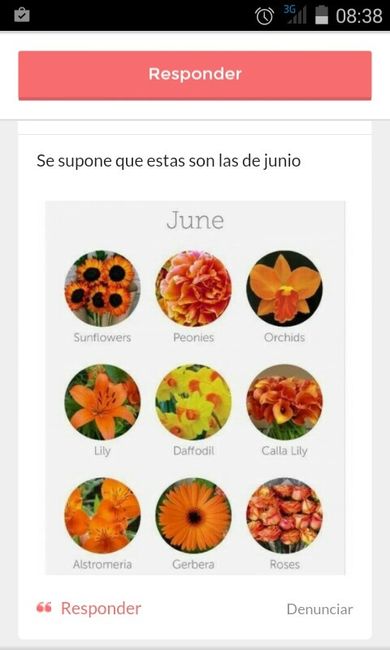 Que flores para el ramo - 1