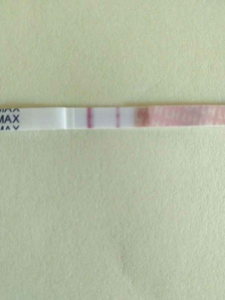 Resuelvo dudas sobre los to (test de ovulacion) - 1
