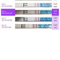 Buscadoras marzo 2026 🍀 - 1