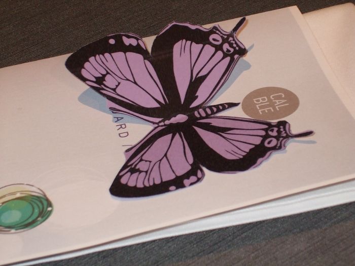 Mariposas y minutas