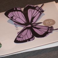 Mariposas y minutas