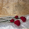 Yasmina