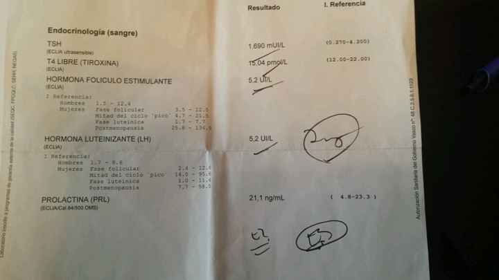 Analítica después de un aborto - 1