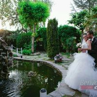 Vestido leante pronovias 2015 - 2