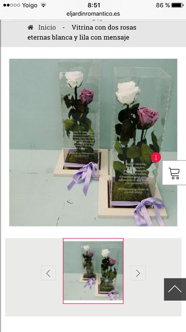 Rosas eternas - 1