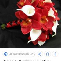  Ramos en rojo y blanco - 2