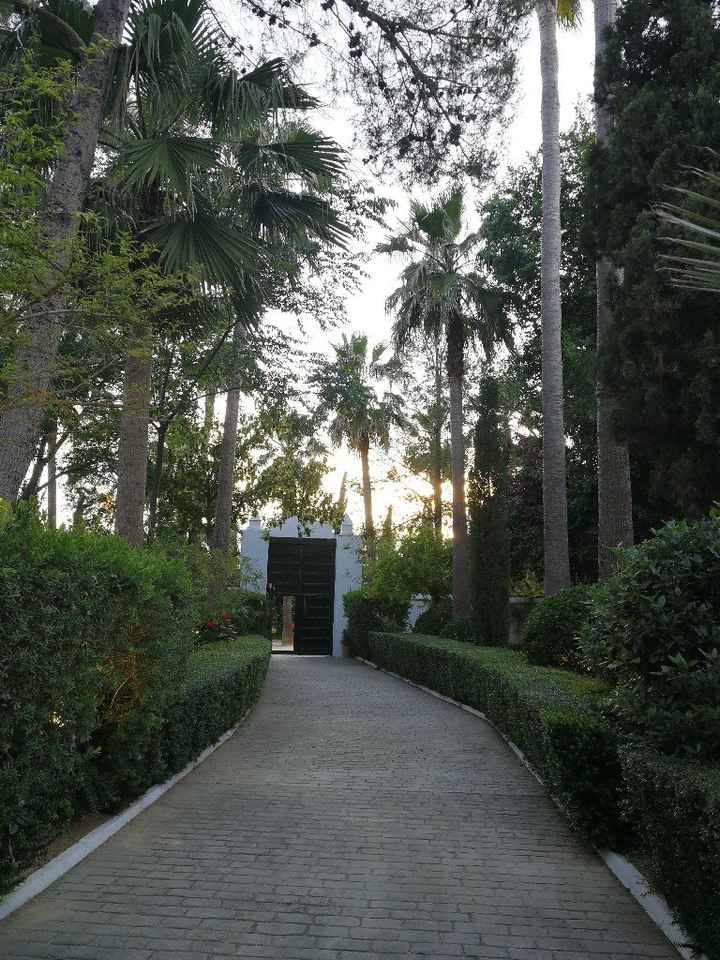 Visita a la hacienda!! - 3