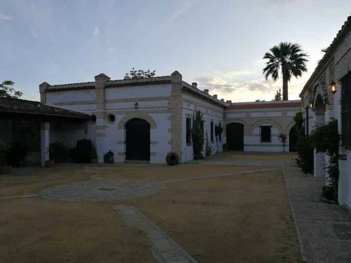 Visita a la hacienda!! - 4