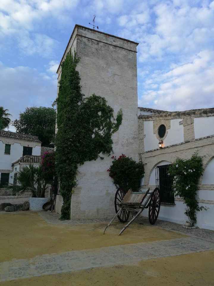 Visita a la hacienda!! - 5