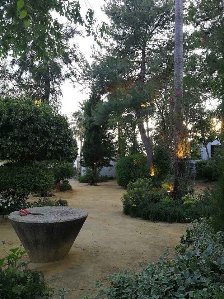 Visita a la hacienda!! - 7