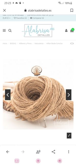 Alfileres en forma de concha 5