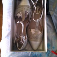 Busco zapato planos - 1