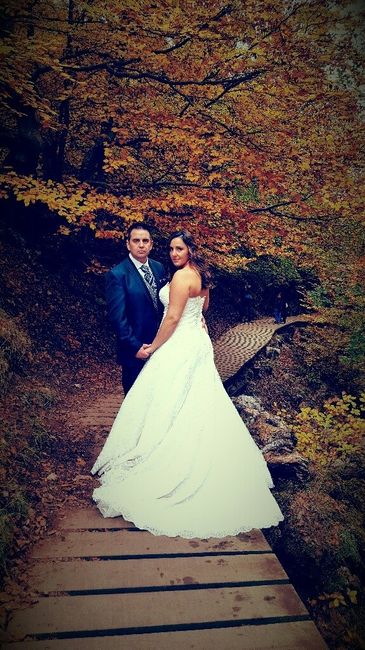 Postboda - 6