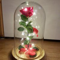 Cúpula con rosa - 1