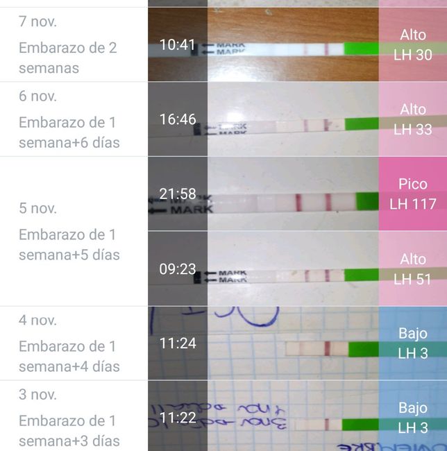 Ayudaa test de ovulacion - 2