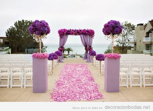 Alfombra color violeta - 1