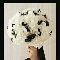 Los zapatos de todas las novias! - 2