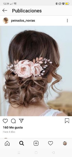 Recogido o trenza? 1