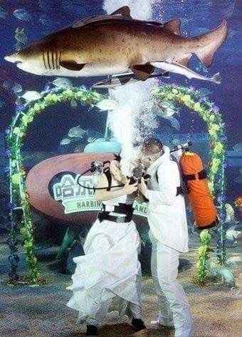  Bodas originales - 3