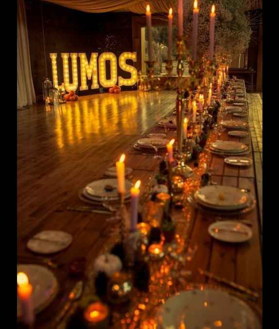 Boda temática Harry Potter 8