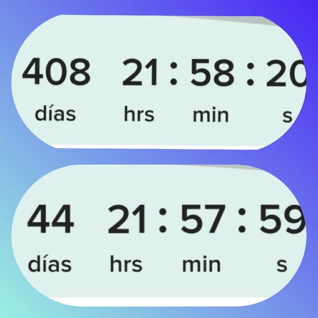 Del 2020 al 2021 2