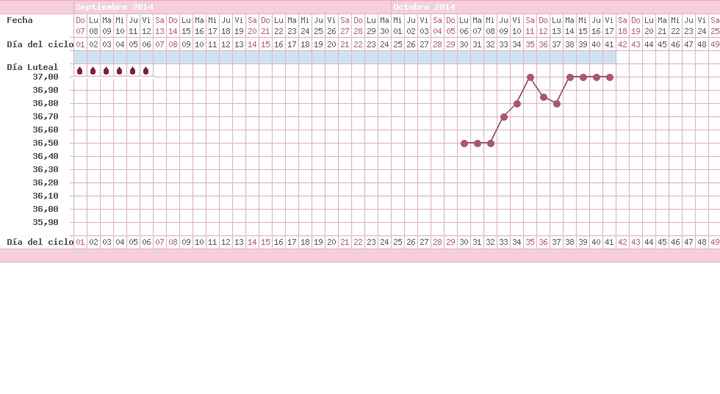 grafica